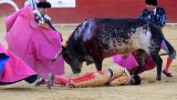Бик уби тореадор по време на корида в Испания за първи път от 30 г. 