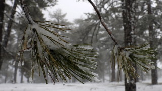 За днес НИМХ издаде предупреждение от първа степен за студено време