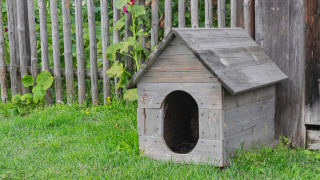 При полицейска акция в русенско бяха открити 27 килограма марихуана