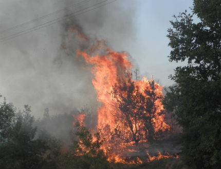 Евакуираха къщи заради огромен пожар в Благоевградско 