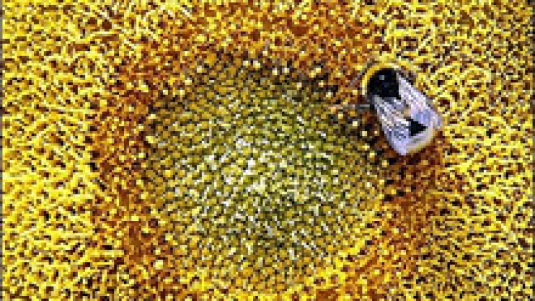 Изображение 4501