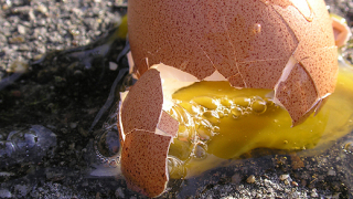 Във Великобритания пуснаха наливни яйца