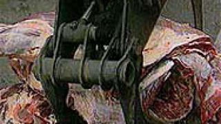 Граничният ветеринарен контрол трупа червени точки