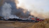 Овладяха бързо пожара край ТЕЦ "Бобов дол"