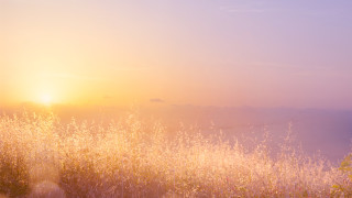 След като юни се превърна в най горещият юни до момента