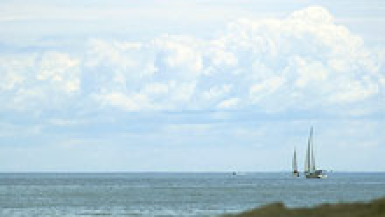 Изображение 6401