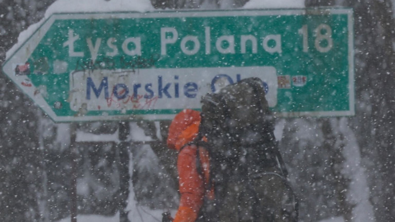 Изображение 746501