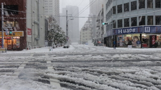 Над 160 полета са отменени в Япония заради обилните снеговалежи