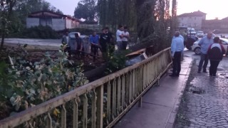 Смерч отнесе покриви и изкорени дървета в Тополовградско