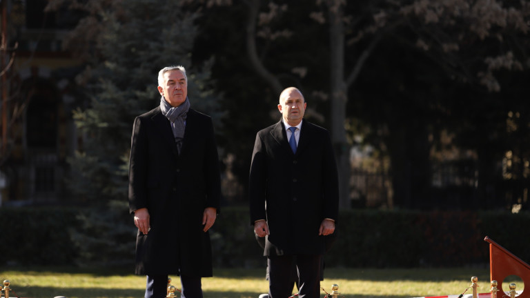 Изображение 607401