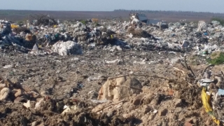 България значително е намалила генерираните битови отпадъци през последните години