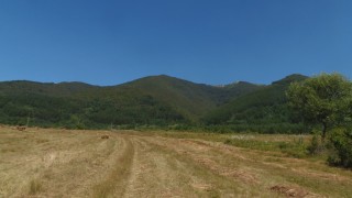 Обявиха нова защитена местност Находища на алпийски тритон в