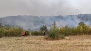 Горски пожар е избухнал в горски масив над град Нови