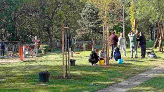 Над 1 000 дръвчета и храсти са засадени в София