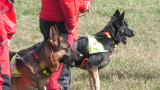 Кучетата спасители на БЧК са едно приятелска група