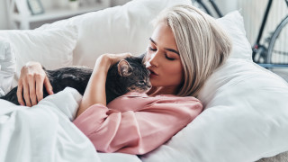 Ако имаме котка сме наясно че това е едно своенравно