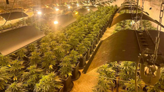 Разбиха отлично оборудвана лаборатория за отглеждане на канабис съобщава БТА Тя