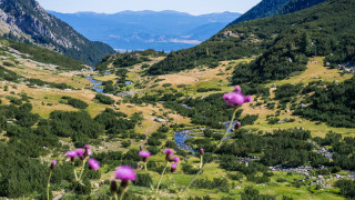 Да работиш откъдето си пожелаеш е свобода която стана възможна