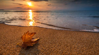 Нощта ще бъде ясна а денят предимно слънчев Температурите се