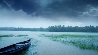 Поне шестима души загинаха тази седмица и около 2 хил