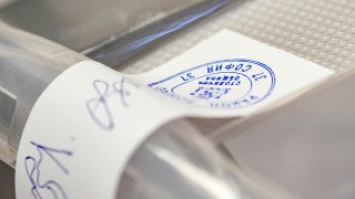 Опити за гласуване с невалидни документи на извънредните местни изборите