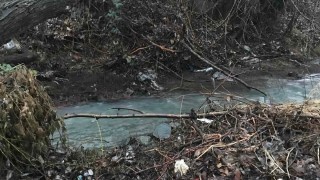Установено е замърсяване на река Княжевска  Владайска  б р в едноименния квартал