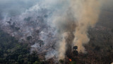  Амазонската джунгла в Бразилия обезлесена с 25% за 6 месеца 