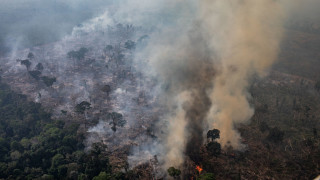 Регистрирани са рекорден брой пожари във Венецуела предаде Ройтерс Сателити са