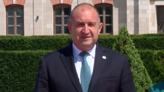 Радев: Целувката между Борисов и Петков би родила само отвращение