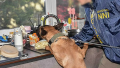 ГДБОП залови участник в мащабна схема за производство на синтетична дрога в Европа