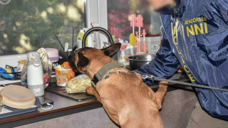 Главна дирекция Борба с организираната престъпност ГДБОП участва в международно