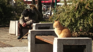 Кабинетът одобри 50 лв. добавка към пенсиите за месец септември