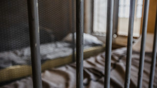 АМ „Марица“ блокирана от горящ камион, научна сензация с мъртви бобри край реката — image 4