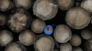 Най висшата съдебна инстанция в ЕС реши че Полша е нарушила