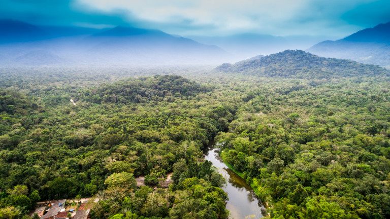 Амазония е най-зеленото кътче на нашата планета, което обаче в