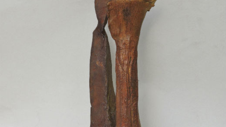 Изображение 181502