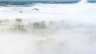 Гъста мъгла в Делхи забави десетки полети а студената вълна