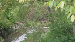 Девойка от Ракитово се удави в напоителен канал