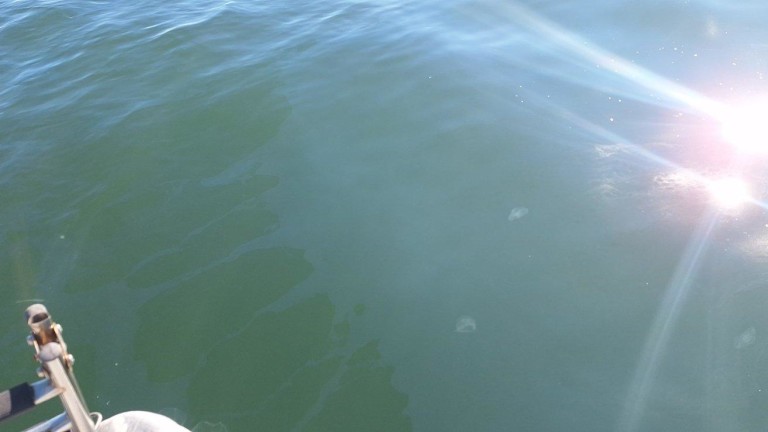 Изображение 752202