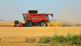  Покачва се цената на зърното на международните тържища 