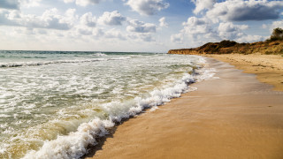 Промяната в цвета на водата в Черно море – на какво се дължи и опасна ли е за хората