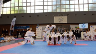 Демонстрации на представителния отбор на Световната федерация по таекуондо World