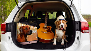 Планувайте смело - преносимият телевизор METZ ще се погрижи за останалото