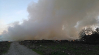 Пожарът в Ардино локализиран, след като погълна 1500 дка гора