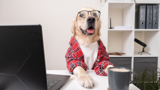 Изследователите продължават да обсъждат дали някои работни места по своята