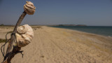 Ангелкова спря стопанисването на плаж "Липите"