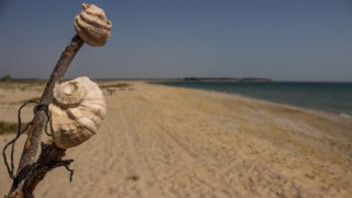 Няма нарушения на достъпа до плаж Корал Това стана ясно