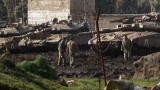 Израел заплашва с "тотална война" Ливан след последните атаки на "Хизбула" 