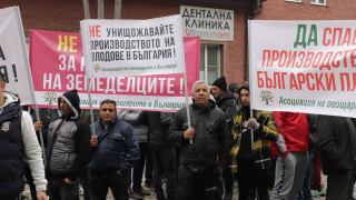 Оранжерийни производители и животновъди отново излязоха на протест пред Министерството