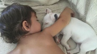 Внучката на Катето Евро не се отделя от новото куче